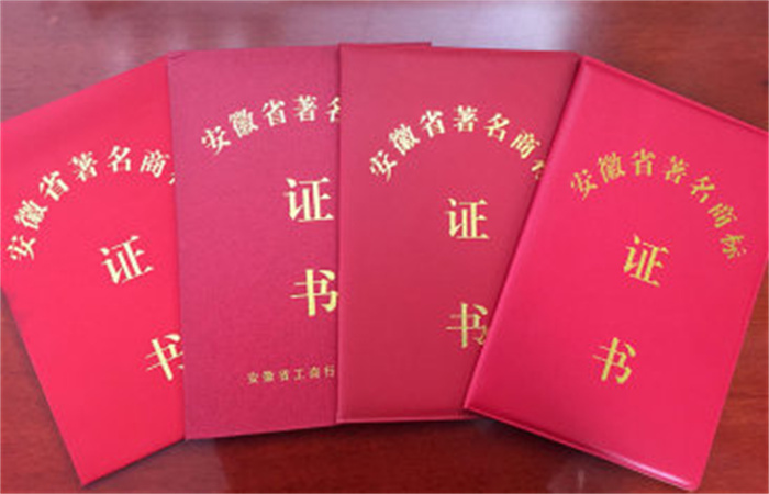 品質(zhì)為大 服務(wù)成名--企業(yè)品牌戰(zhàn)略之路
