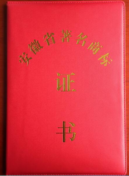 企業(yè)品牌戰(zhàn)略之路