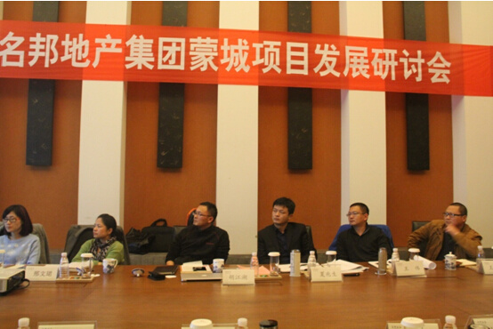 蒙城項(xiàng)目發(fā)展研討會
