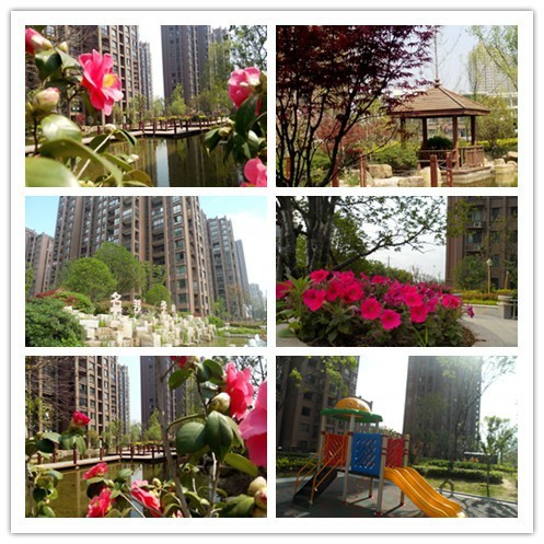 居住城市之中 親臨園林之美