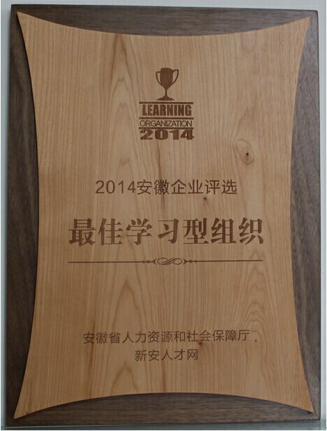 大名集團榮膺安徽企業(yè)“最佳學習型組織”殊榮 